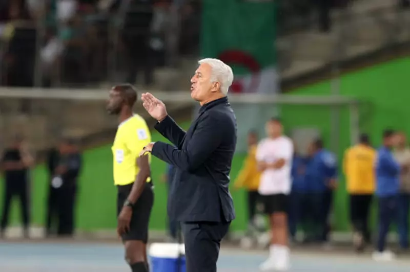 مدرب الجزائر: هدفنا التأهل للدور الثاني.. ونحن المرشحون الأوفر حظاً في مجموعتنا بكأس الأمم 